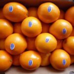 Fresh Oranges